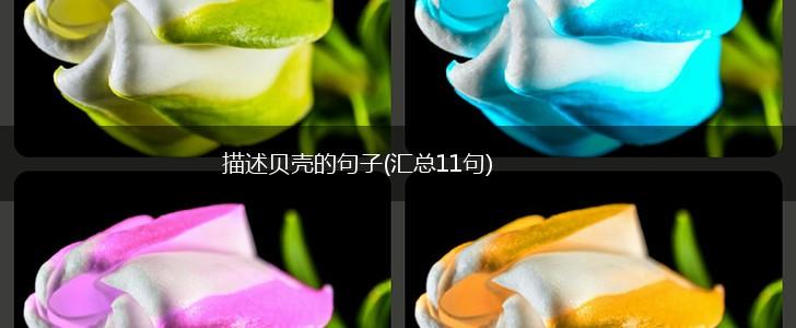 描述贝壳的句子(汇总11句),第1张