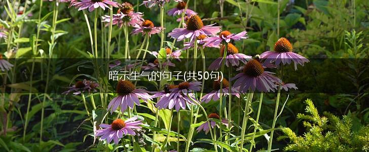 暗示生气的句子(共50句),第1张