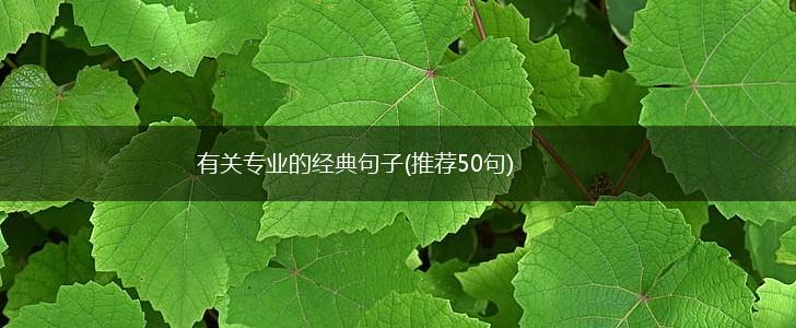 有关专业的经典句子(推荐50句),第1张