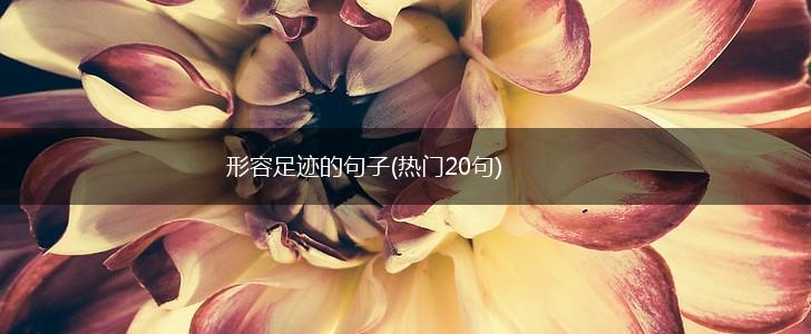 形容足迹的句子(热门20句),第1张