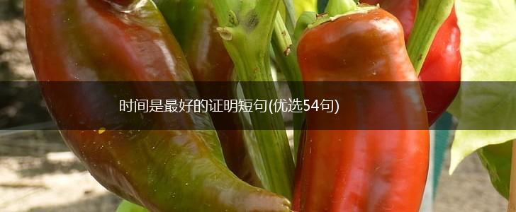 时间是最好的证明短句(优选54句),第1张
