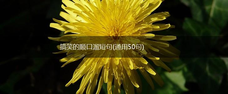 搞笑的顺口溜短句(通用50句),第1张
