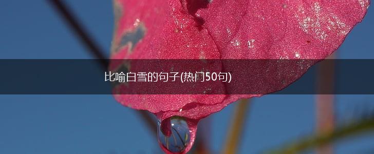 比喻白雪的句子(热门50句),第1张