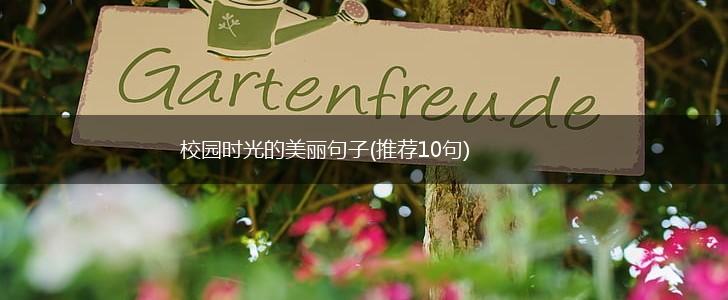 校园时光的美丽句子(推荐10句),第1张