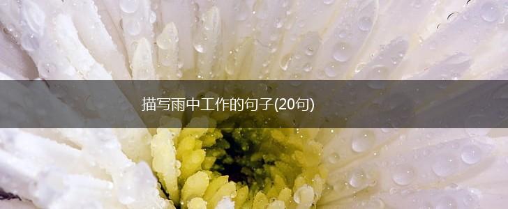 描写雨中工作的句子(20句),第1张