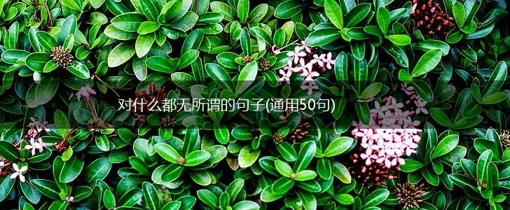 对什么都无所谓的句子(通用50句),第1张