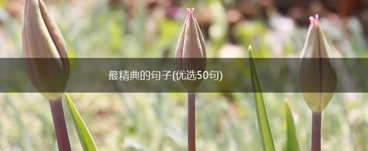 最精典的句子(优选50句),第1张
