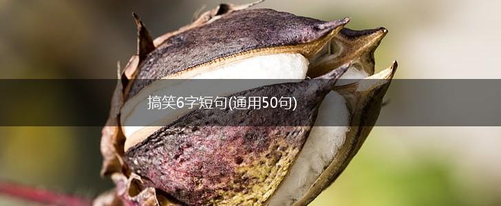 搞笑6字短句(通用50句),第1张