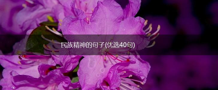 民族精神的句子(优选40句),第1张