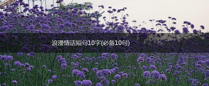 浪漫情话短句10字(必备10句),第1张
