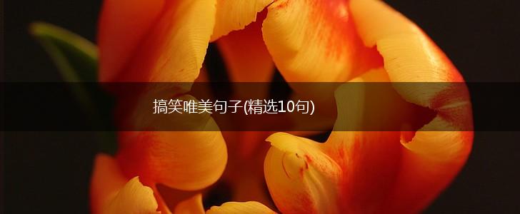 搞笑唯美句子(精选10句),第1张