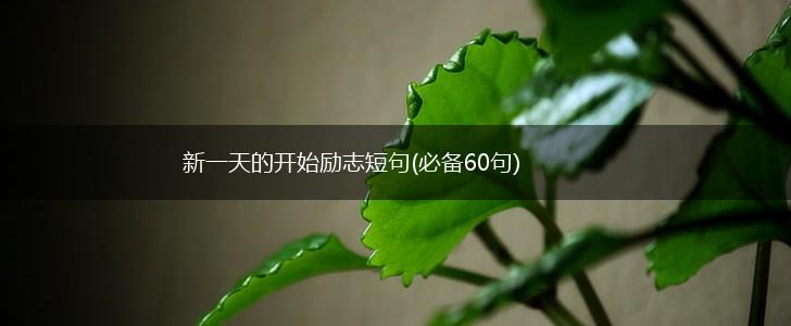 新一天的开始励志短句(必备60句),第1张