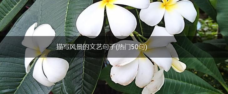 描写风景的文艺句子(热门50句),第1张