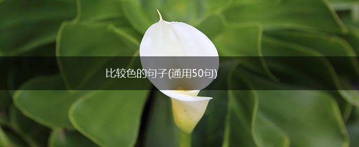 比较色的句子(通用50句),第1张