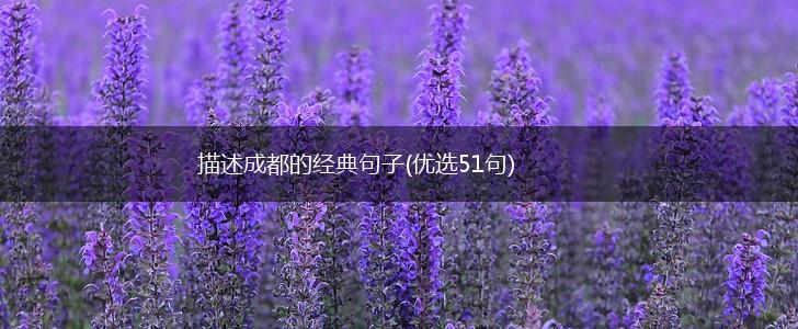 描述成都的经典句子(优选51句),第1张