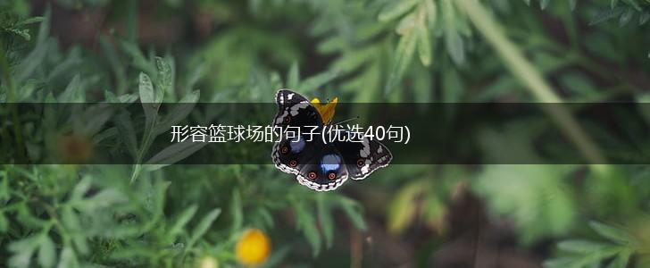 形容篮球场的句子(优选40句),第1张