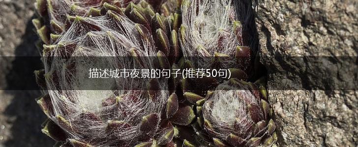 描述城市夜景的句子(推荐50句),第1张