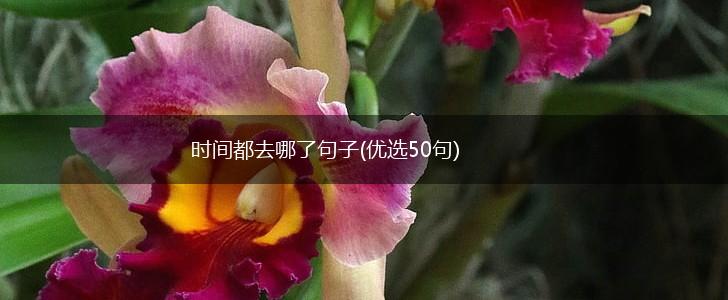 时间都去哪了句子(优选50句),第1张