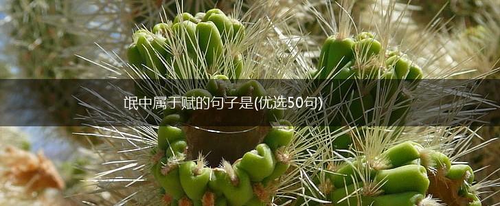 氓中属于赋的句子是(优选50句),第1张