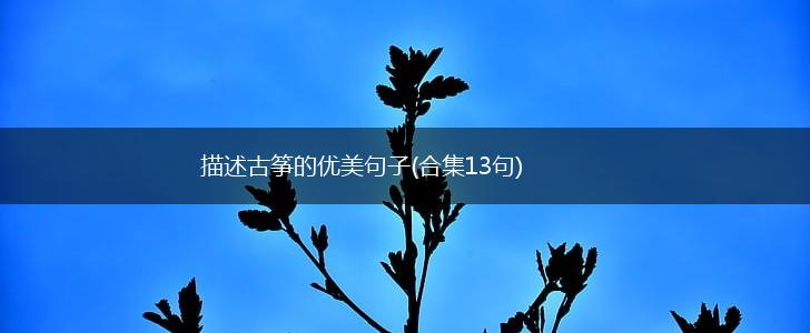 描述古筝的优美句子(合集13句),第1张