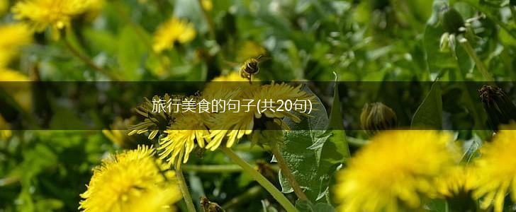 旅行美食的句子(共20句),第1张