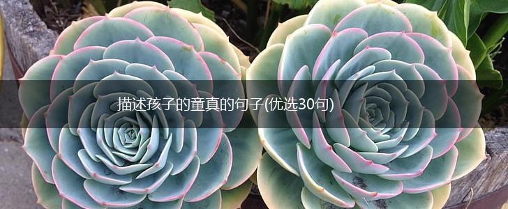 描述孩子的童真的句子(优选30句),第1张