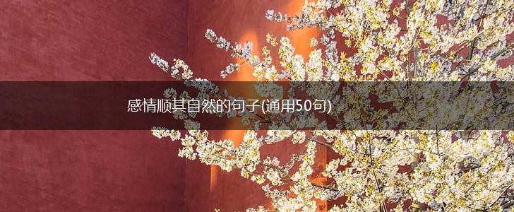 感情顺其自然的句子(通用50句),第1张