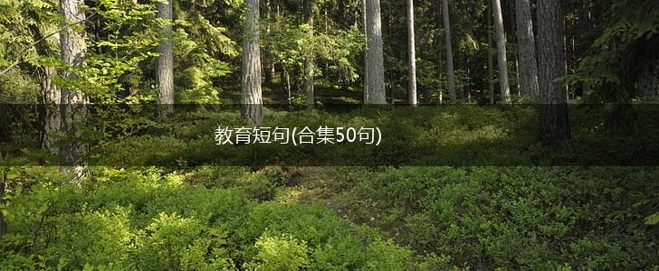 教育短句(合集50句),第1张