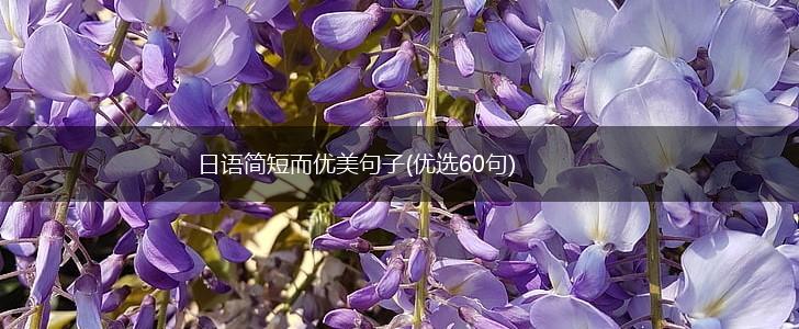 日语简短而优美句子(优选60句),第1张