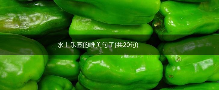 水上乐园的唯美句子(共20句),第1张