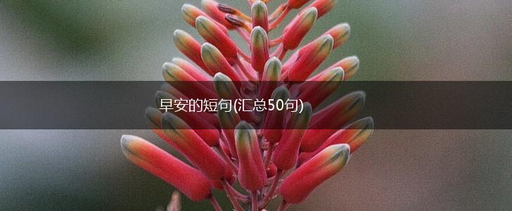 早安的短句(汇总50句),第1张