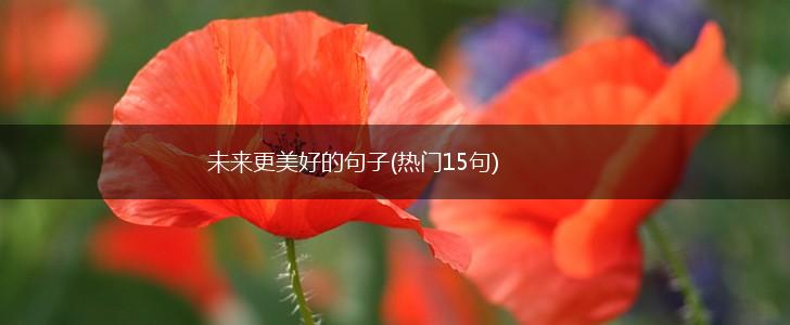 未来更美好的句子(热门15句),第1张