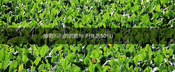撩男污污的套路句子(优选50句),第1张