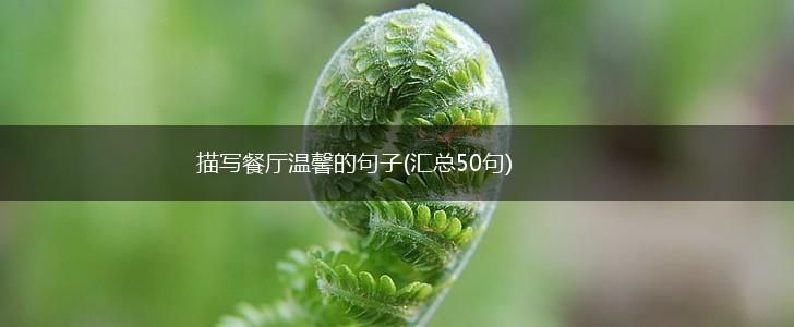 描写餐厅温馨的句子(汇总50句),第1张