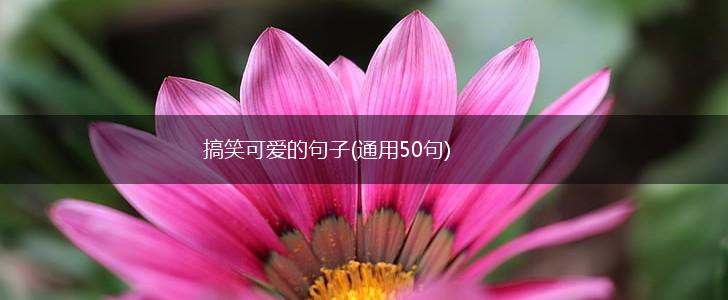 搞笑可爱的句子(通用50句),第1张