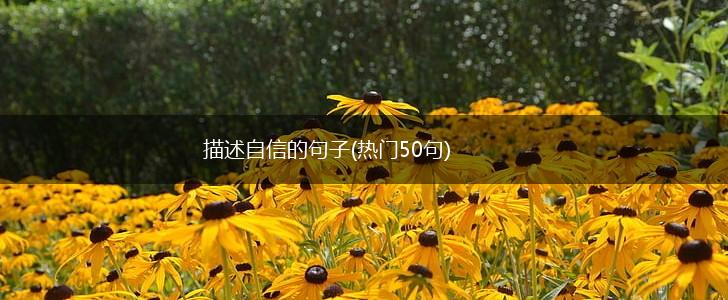 描述自信的句子(热门50句),第1张