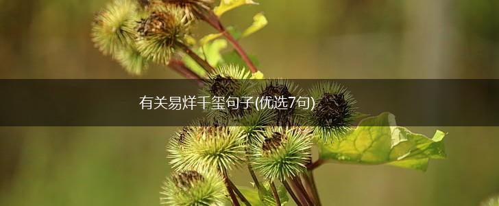 有关易烊千玺句子(优选7句),第1张