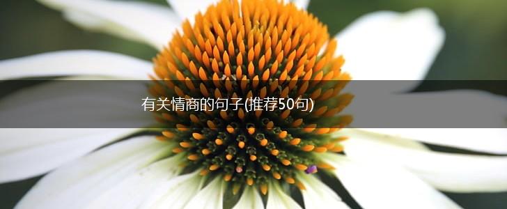 有关情商的句子(推荐50句),第1张