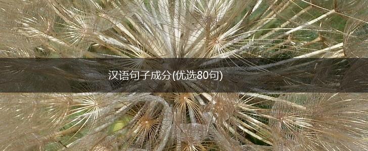 汉语句子成分(优选80句),第1张