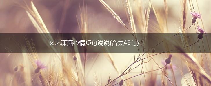 文艺潇洒心情短句说说(合集49句),第1张