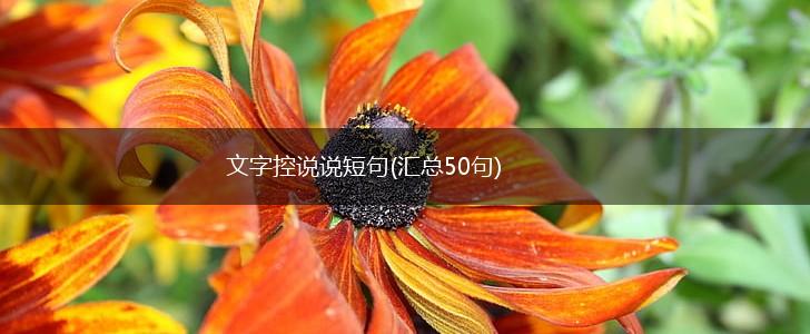 文字控说说短句(汇总50句),第1张