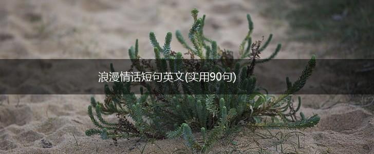 浪漫情话短句英文(实用90句),第1张