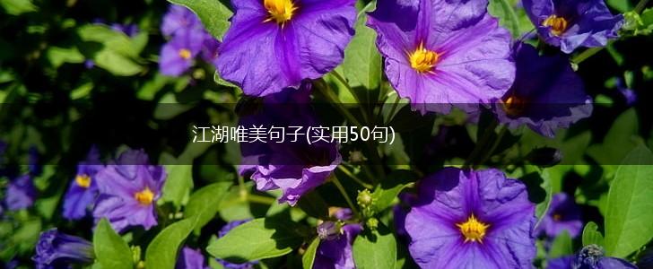 江湖唯美句子(实用50句),第1张