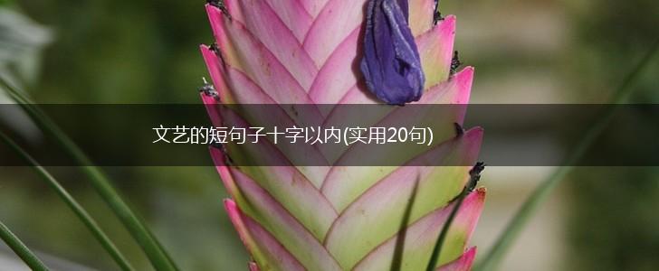 文艺的短句子十字以内(实用20句),第1张