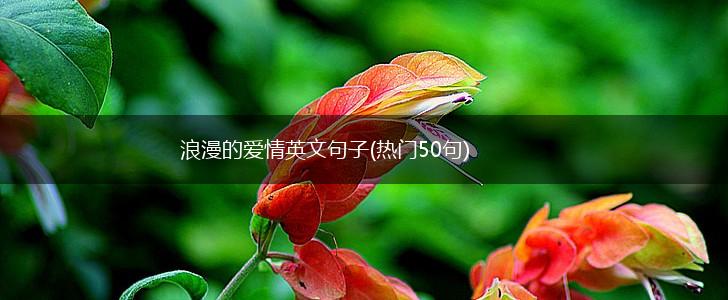 浪漫的爱情英文句子(热门50句),第1张