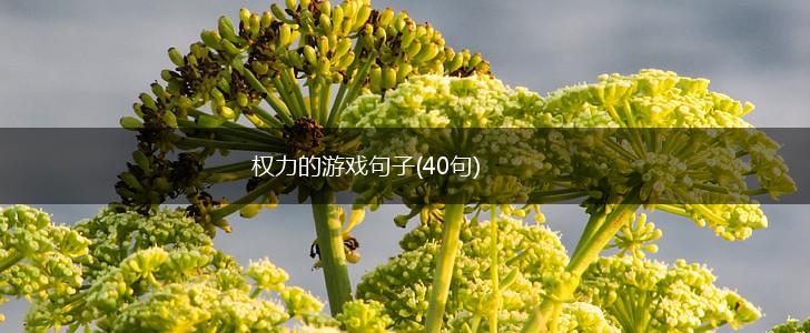 权力的游戏句子(40句),第1张