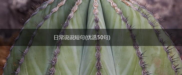 日常说说短句(优选50句),第1张