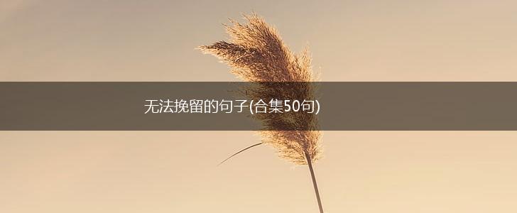 无法挽留的句子(合集50句),第1张