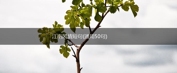 江南风情短句(通用50句),第1张