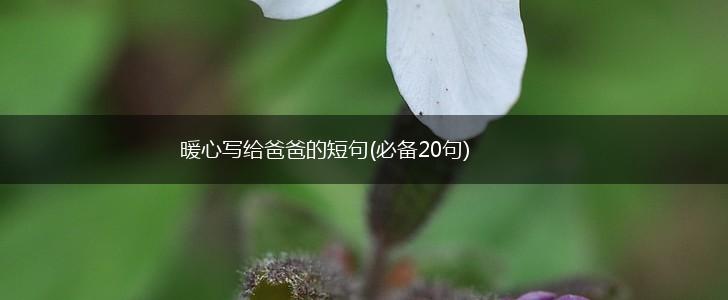 暖心写给爸爸的短句(必备20句),第1张